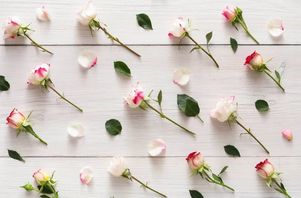 Patrón floral de rosas rosadas sobre madera rústica blanca, primer plano —  Fotos de Stock