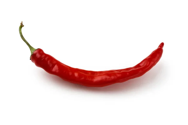 Jedna červená chili pepper closeup izolovaných na bílém pozadí — Stock fotografie