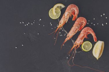 Siyah arka plan üzerine limon ve tuz ile karides