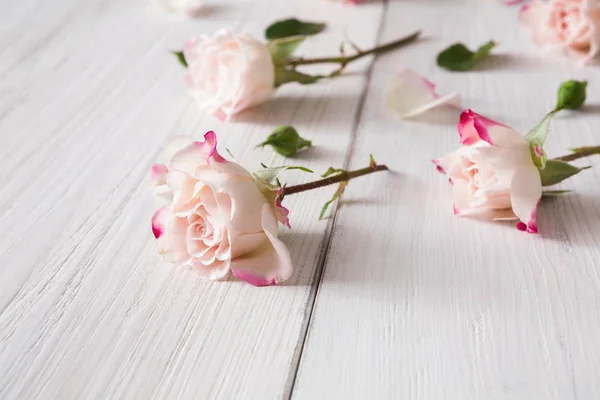 Padrão floral feito de rosas rosa em madeira rústica branca, close-up — Fotografia de Stock