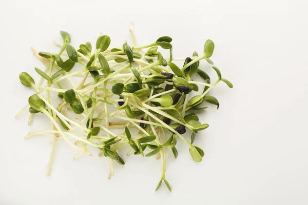 Микро зеленые капусты изолированы в белом — стоковое фото