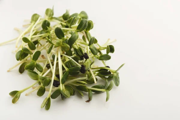 Micro greens cloeup isolated at white — Stock Photo, Image