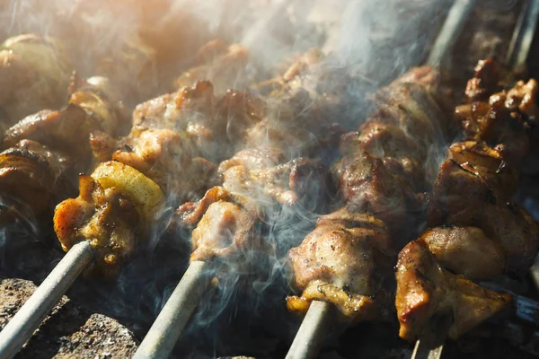 街头快餐食品节、 牛肉和鸡肉串在烧烤 — 图库照片