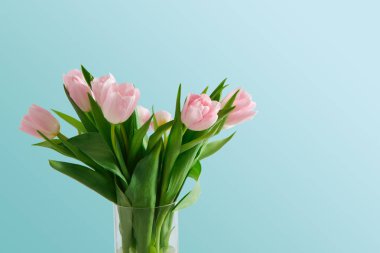 mavi arka plan üzerinde Pembe Lale buketi