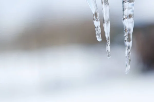 Icicles against the bright background — Stock Photo, Image