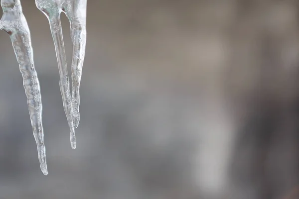 Icicles against the bright background — Stock Photo, Image