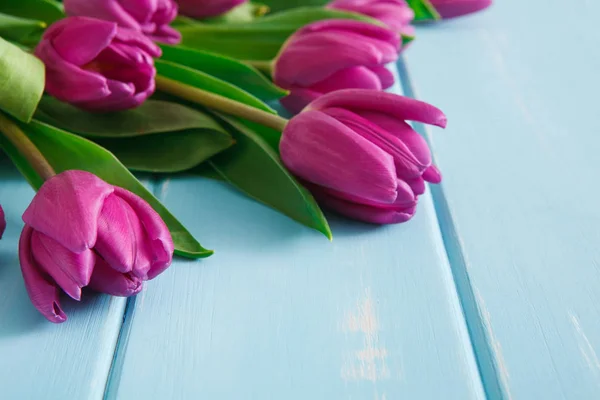 Flores fundo, Violeta tulipas em madeira azul, espaço de cópia — Fotografia de Stock