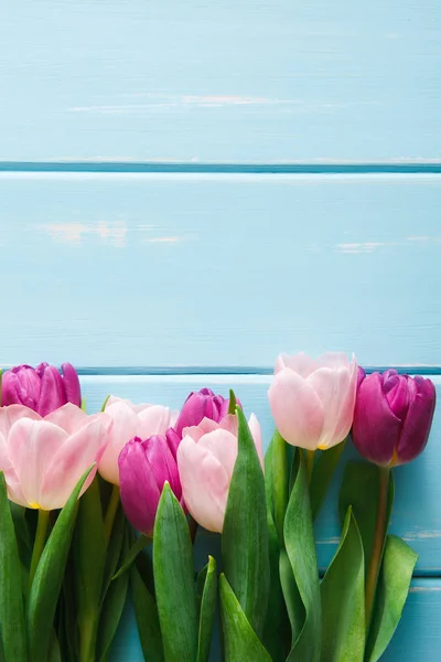 Pink tulips on blue wood background, copy space — Stock Photo, Image