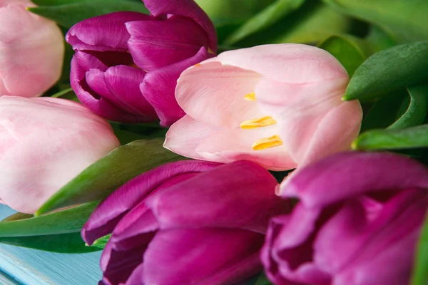 Różowe tulipany na niebieskim tle drewna, miejsce — Zdjęcie stockowe