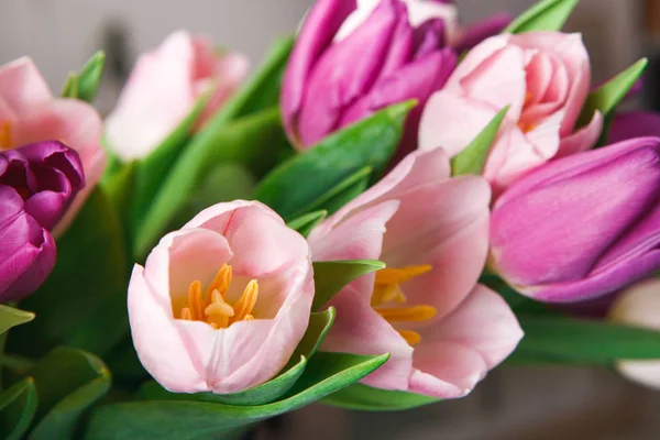 Różowe tulipany tło zbliżenie makro, kopiować miejsca — Zdjęcie stockowe