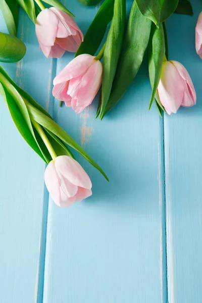 Tulipani rosa su sfondo di legno blu, spazio copia — Foto Stock