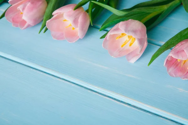 Tulipanes rosados sobre fondo de madera azul, espacio para copiar —  Fotos de Stock