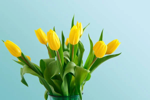 Bukiet żółtych tulipanów na niebieskim tle — Zdjęcie stockowe