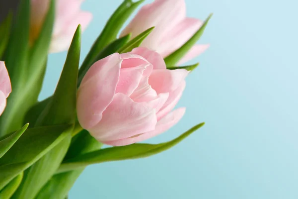 Ramo de tulipanes rosados sobre fondo azul — Foto de Stock