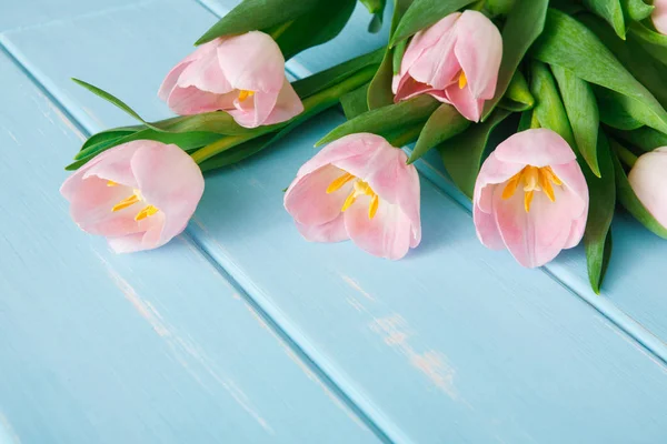 Tulipas cor-de-rosa em fundo de madeira azul, espaço de cópia — Fotografia de Stock