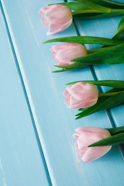 Tulipas cor-de-rosa em fundo de madeira azul, espaço de cópia — Fotografia de Stock