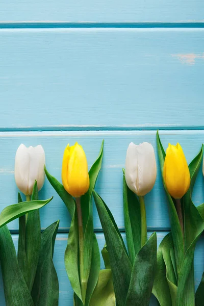 Tulipanes amarillos sobre fondo de madera azul, espacio para copiar —  Fotos de Stock