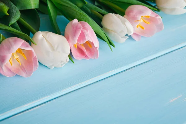 Белые и розовые тюльпаны на фоне синего дерева, пространство для копирования — стоковое фото