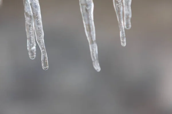 Jääpuikot kirkasta taustaa vasten — kuvapankkivalokuva