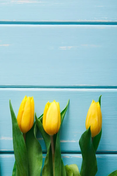 Tulipanes amarillos sobre fondo de madera azul, espacio para copiar —  Fotos de Stock
