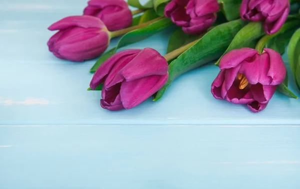 Flores fundo, Violeta tulipas em madeira azul, espaço de cópia — Fotografia de Stock