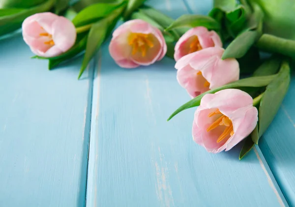 Pink tulips on blue wood background, copy space