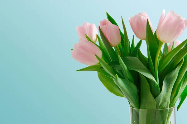 Букет з рожевих тюльпанів на синьому фоні — стокове фото