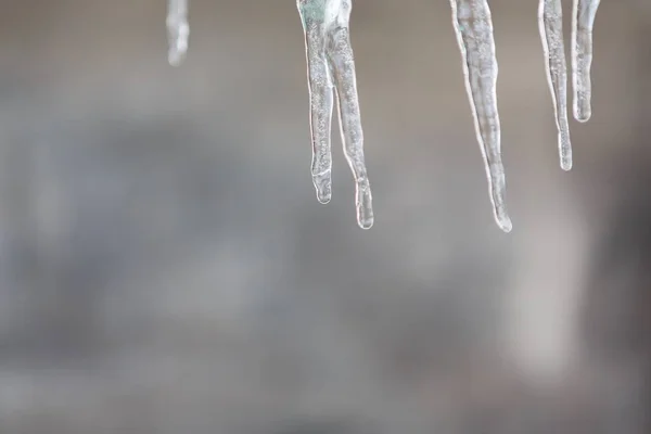 Icicles contra el fondo brillante — Foto de Stock