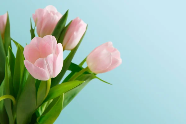 Ramo de tulipanes rosados sobre fondo azul — Foto de Stock