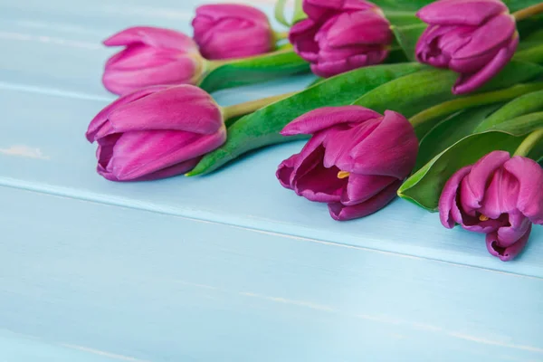 Flores fundo, Violeta tulipas em madeira azul, espaço de cópia — Fotografia de Stock