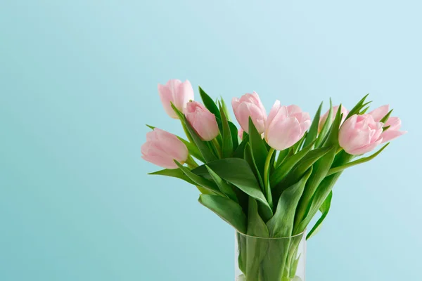 Букет з рожевих тюльпанів на синьому фоні — стокове фото