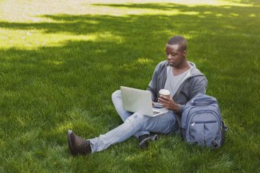 Parkta dizüstü kullanarak ciddi Afrikalı-Amerikalı öğrenci