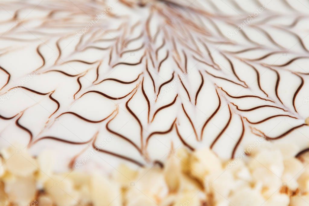 Esterhazy cake with cobweb decoration, closeup