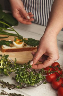 Feamale için doğru meze yapma sağlıklı bruschettas eller