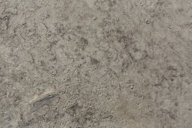 Soyut gri yumuşak doku beton