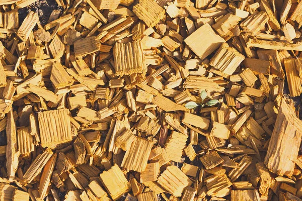 Flinders de madera primer plano y fondo texturizado — Foto de Stock
