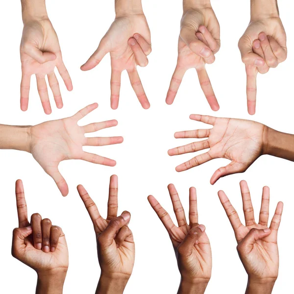 Set tangan manusia. Diverse tangan laki-laki menunjukkan angka-angka, menghitung — Stok Foto