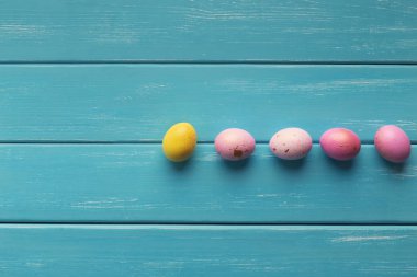 Paskalya arka plan. Renkli bıldırcın yumurtası, üstten görünüm