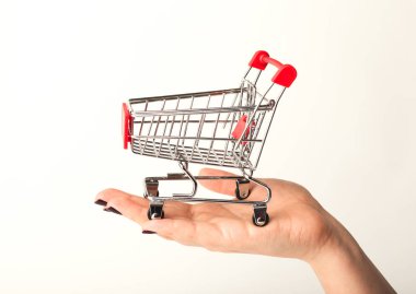 Boş alışveriş sepeti tutan kadın el