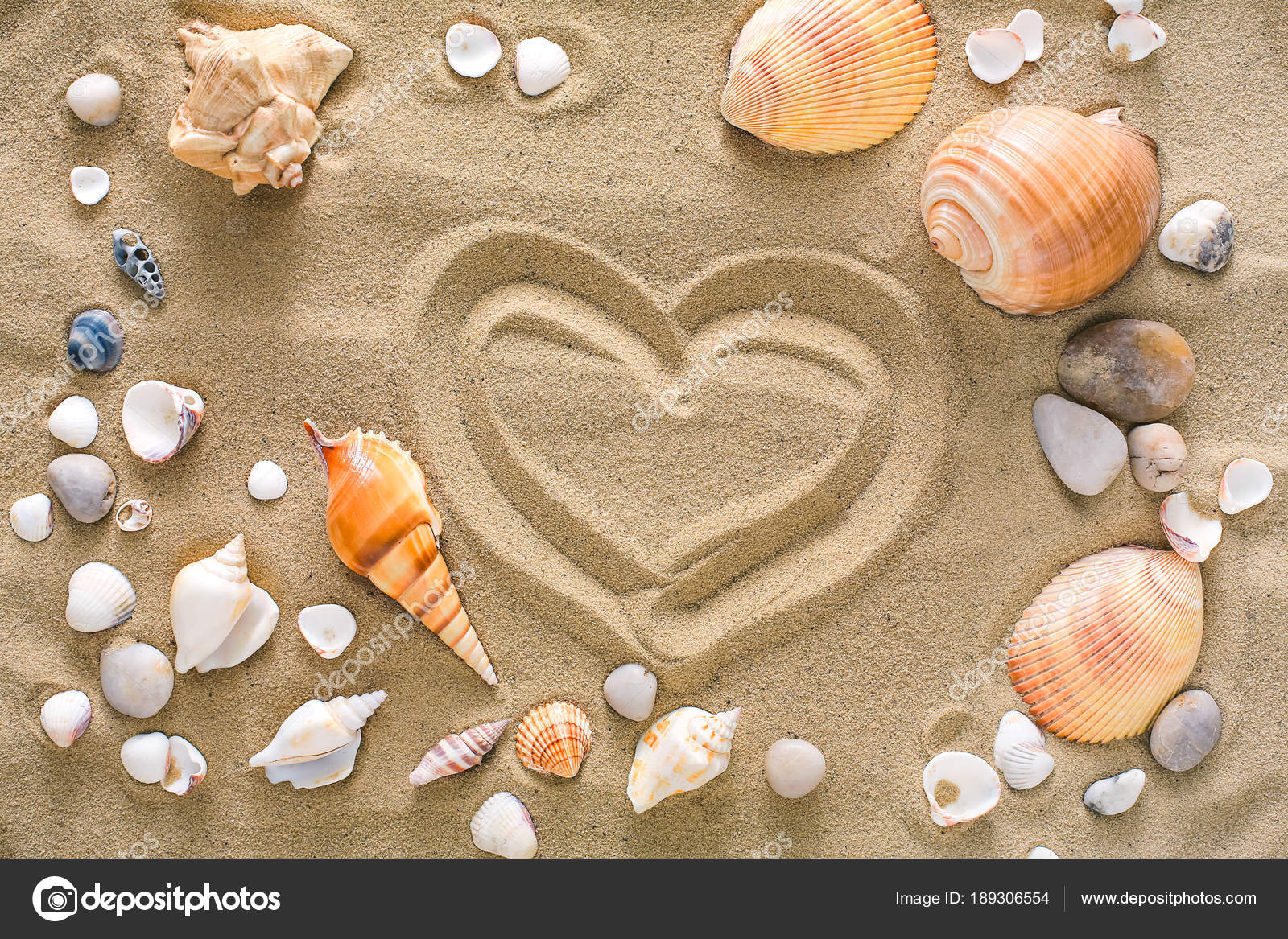 Pourquoi On Entend La Mer Dans Les Coquillages Coquillage Ou On Entend La Mer | AUTOMASITES