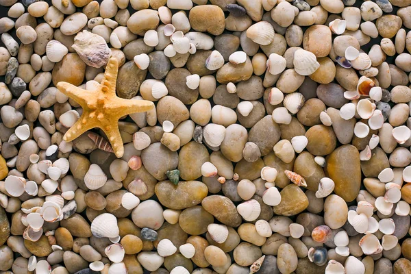 海小石子和贝壳背景、 天然海滨石头和海星 — 图库照片