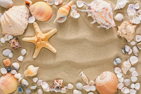 Conchas do mar e seixos fundo, pedras marinhas naturais — Fotografia de Stock