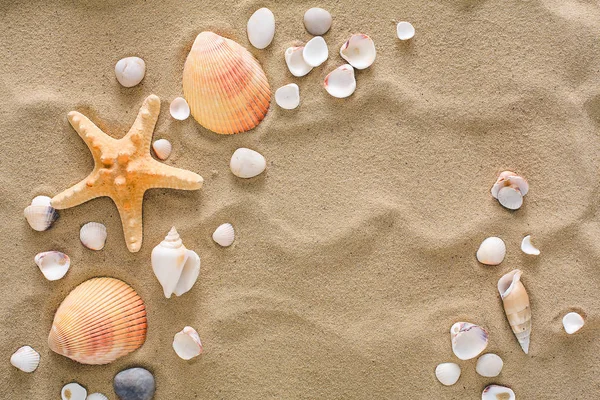 Coquillages et cailloux fond, pierres naturelles de bord de mer — Photo