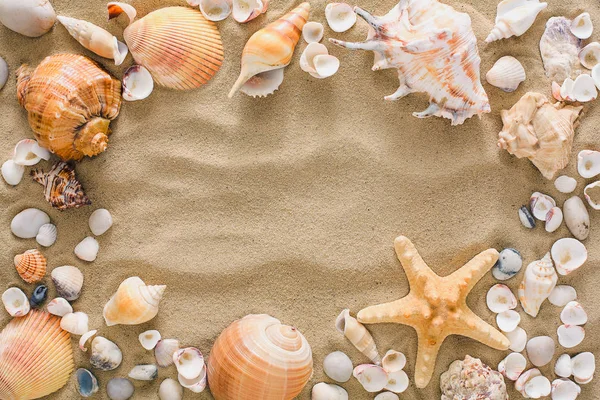 貝殻や小石の背景、自然海岸の石 — ストック写真