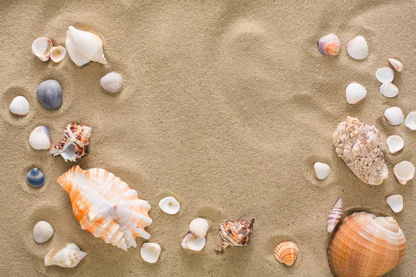 Раковины и галька фон, природные прибрежные камни — стоковое фото