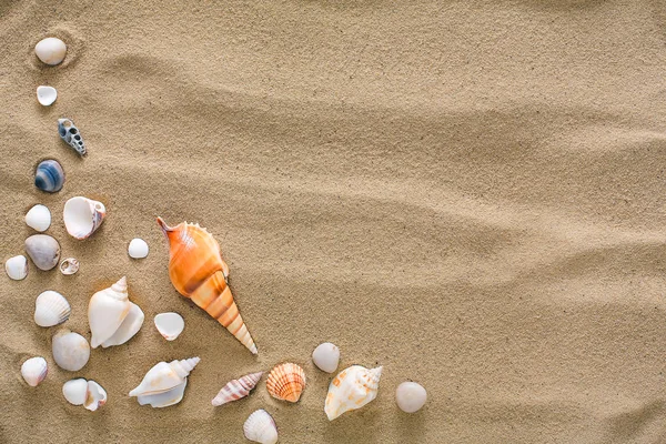Deniz plaj kum ve deniz kabuklarını arka plan, deniz kıyısı taşlar ve deniz yıldızı — Stok fotoğraf