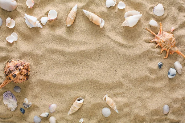 Conchas marinas y guijarros de fondo, piedras marinas naturales —  Fotos de Stock
