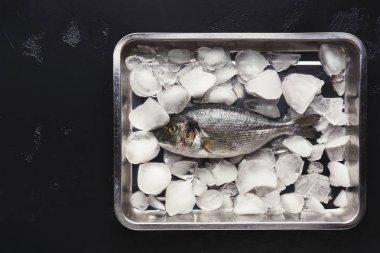 Siyah arka plan, buzda taze dorado