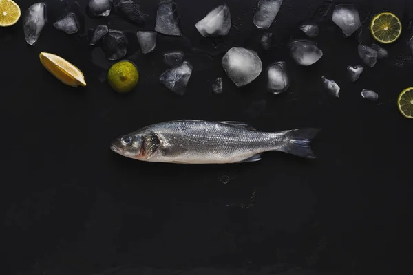 Свіжий морський бас з льодом на чорному фоні — стокове фото