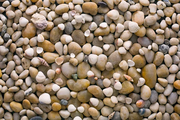 海卵石背景，天然海滨石头 — 图库照片